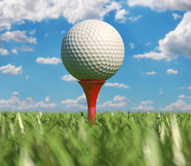 Golf ball isolated on tee in the grass.