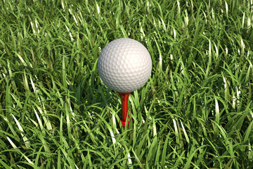 Golf ball isolated on tee in the grass.