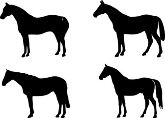 Fototapeta na wymiar Horse symbols