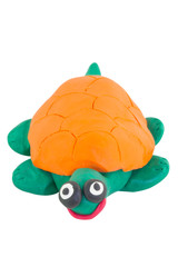 Yellow Turtle in smiling action