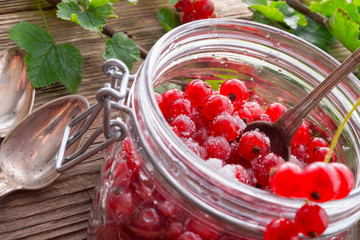 sugared red currant 