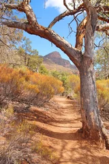 Wandcirkels tuinposter Australian outback and Flinders Ranges © totajla