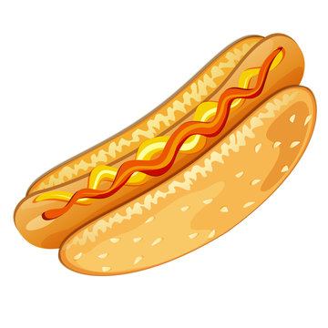 Illustration of hot-dog on white background