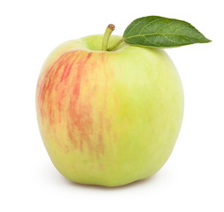 apple one leaf