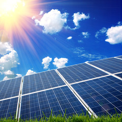 solar panels on the field