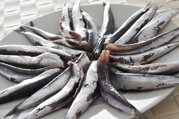 raw spanish boquerones, anchovies typical in Spain