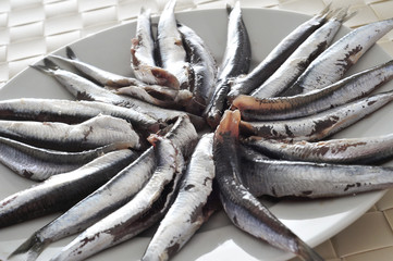 Fototapeta premium raw spanish boquerones, anchovies typical in Spain
