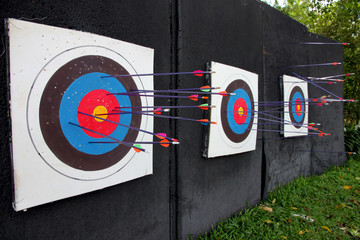 Target archery and Many arrow.