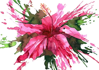 Rolgordijnen Schilderingen Hibiscus bloem