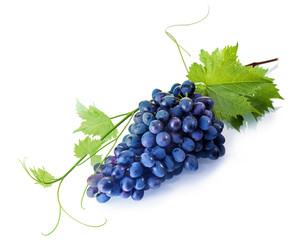 Tempting fresh purple table grapes