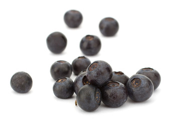 Fresh blueberries isolated on white background