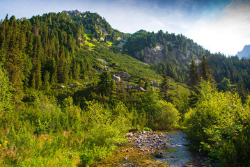 Fototapeta na wymiar River in High Tatras, Slovakia