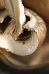 Champignon