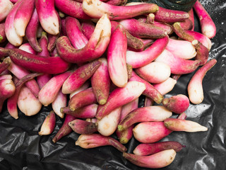 Fresh radishes
