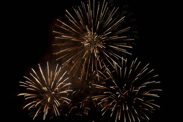 Obraz premium Feu d'artifice