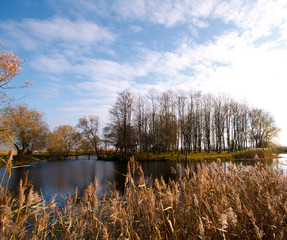 Autumn landscape with a river, trees and grass