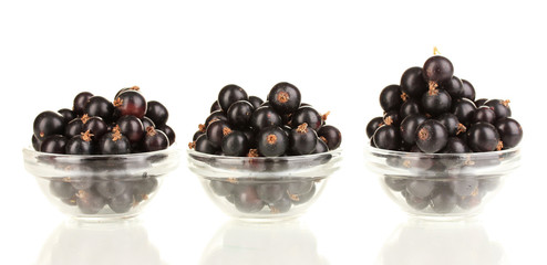 Fresh black currant isolated on white
