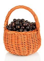 Fresh black currant in wicker basket isolated on white