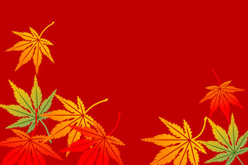 Obraz premium Maple background,Horizontal