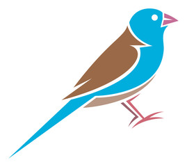 Blue-capped Cordon-bleu