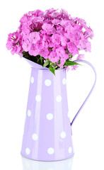 Beautiful bouquet of phlox in watering can isolated on white