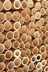 Bamboo wall in Gili Islands