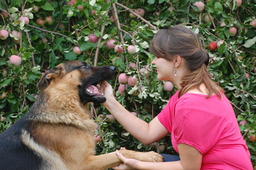 Teen girl  in the garden with dog  Near Kiev,Ukraine