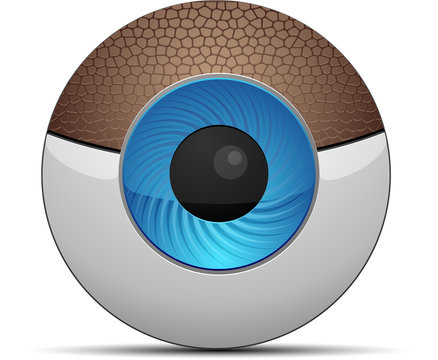 Web Cam button