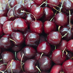 Cherry background