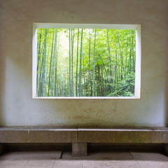 bamboo forest through the window