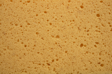 Sponge surface