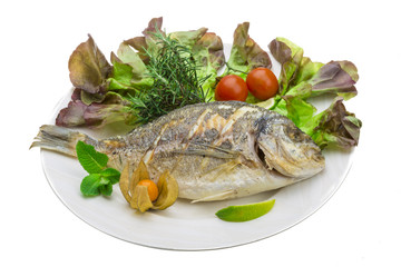 Dorado grilled