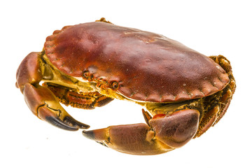 Raw crab