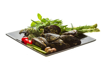 Wild mussel