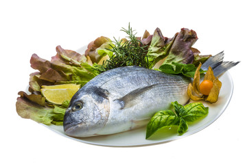 Fresh raw dorada