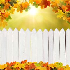 autumn  background with fence