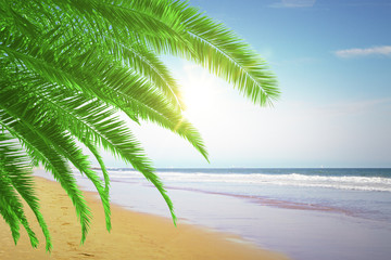Fototapeta premium sunset