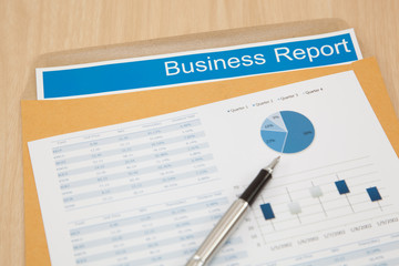 Business report