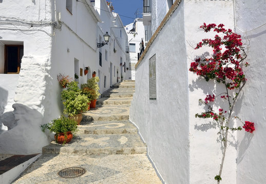 Fototapeta Townhouses along a typical whitewashed village street