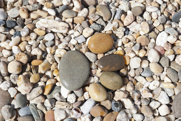 Stone foot on the stony beach