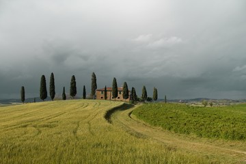 Landschaft in der Toskana