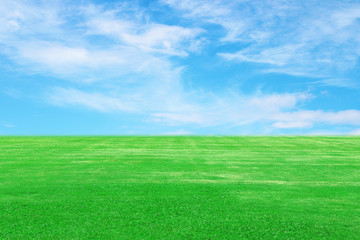 green grass field with sky