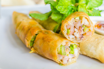 Thai spring roll