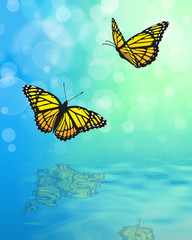 Fototapeta na wymiar Schmetterlinge über Wasser
