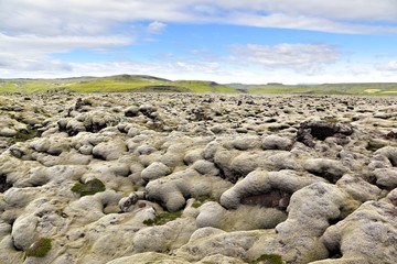 Iceland Lava Field