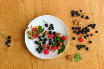 Garden berries