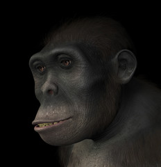 Homo Habilis Portrait © AlienCat