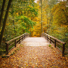 Pont dans la forêt d& 39 automne