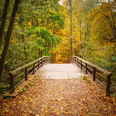 Tischdecke Brücke im Herbstwald © sborisov