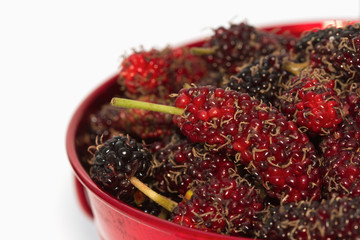 Closeup mulberry fruit ,isolate